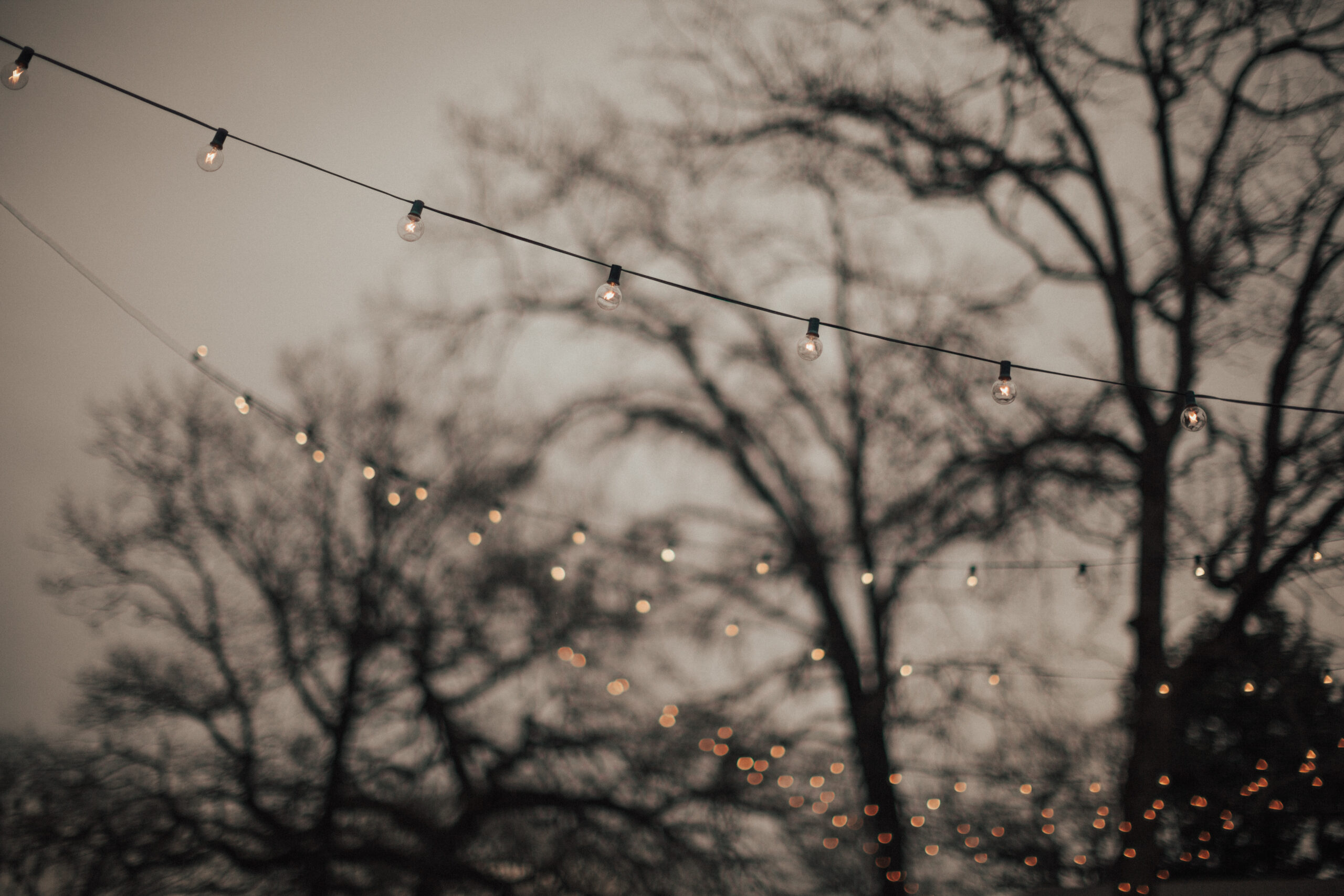 img-28 Horizontal Gallery