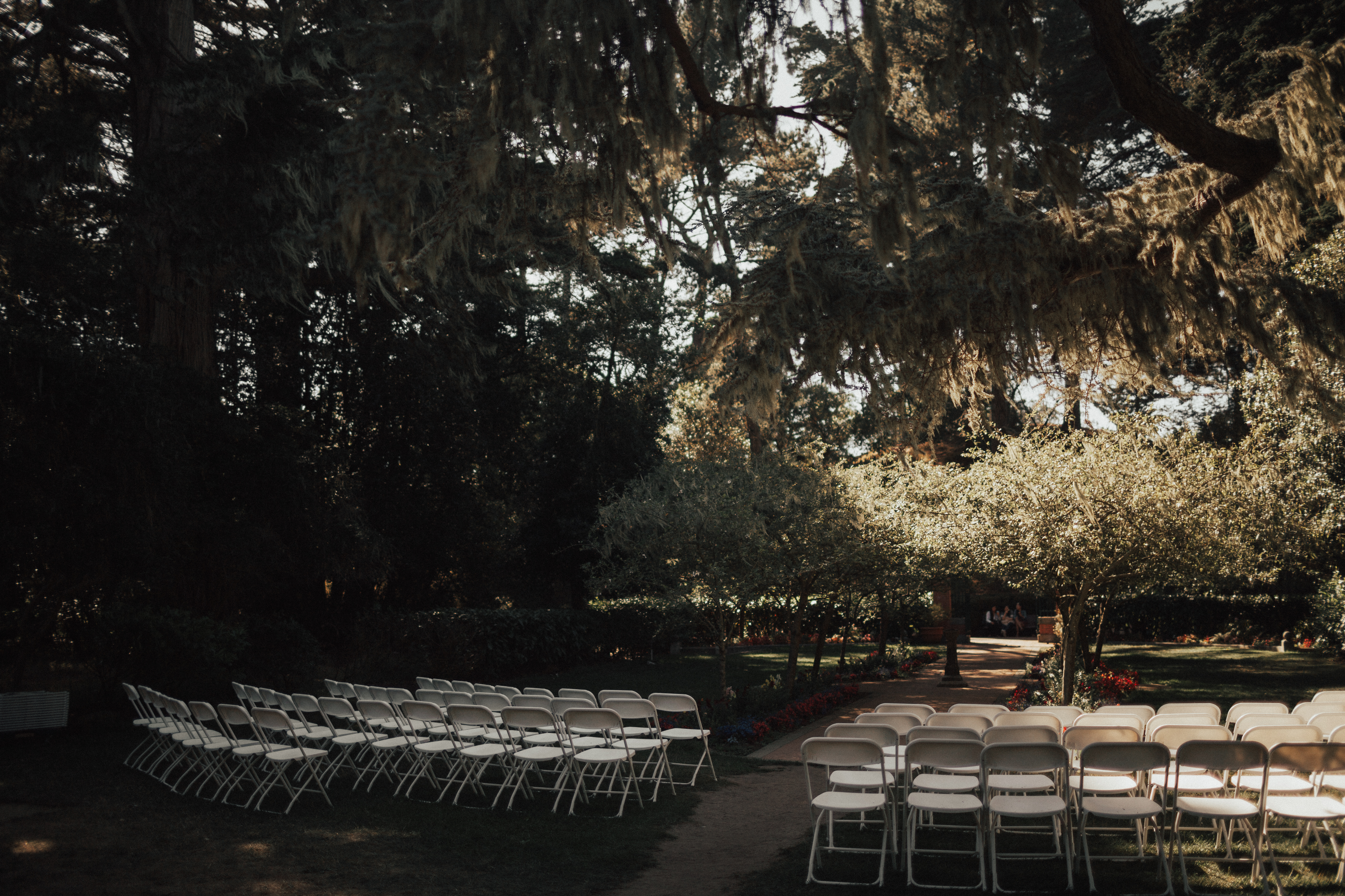 golden-gate-park-shakespeare-garden-wedding Golden Gate Park San Francisco Wedding