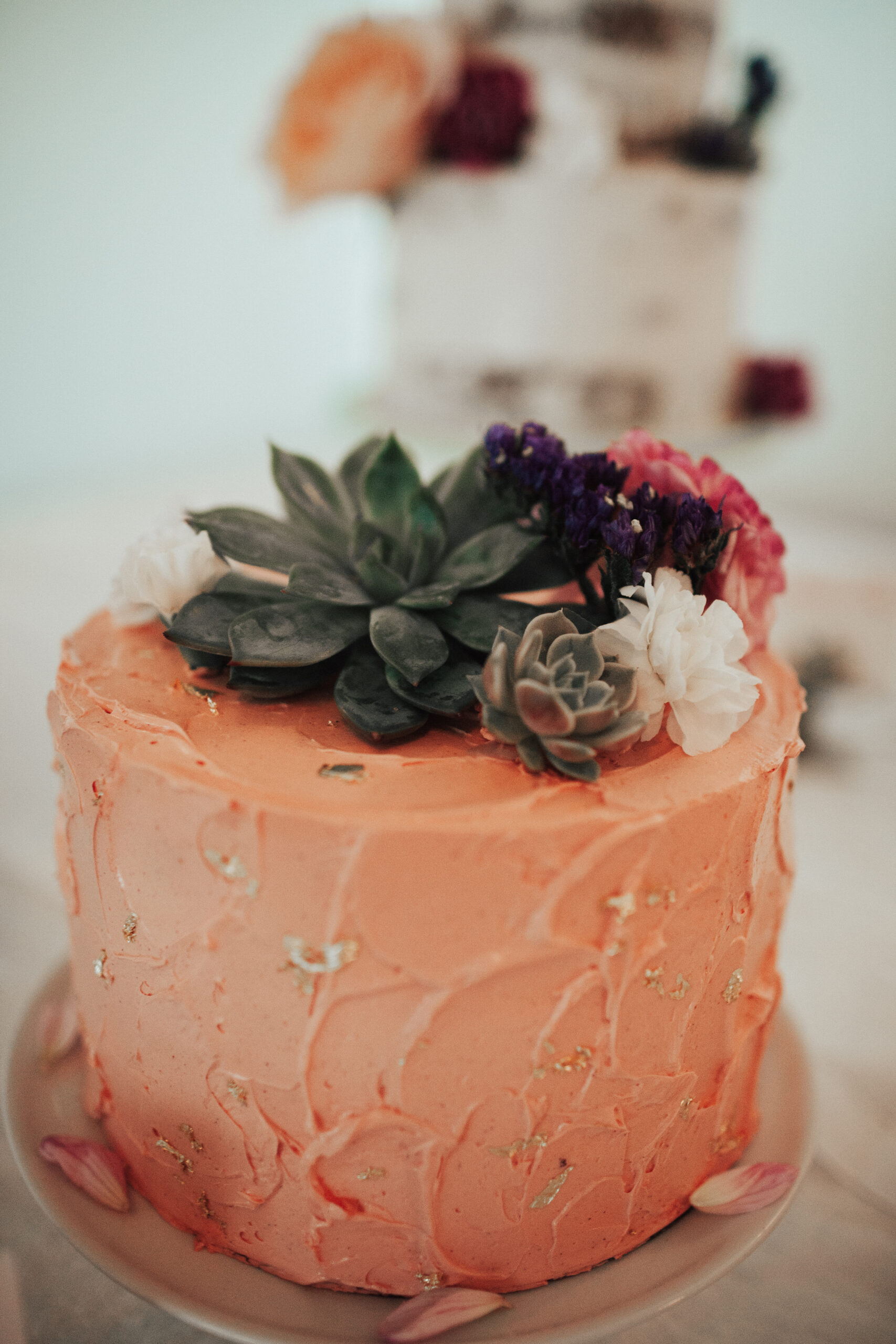 img-39 Interactive Links