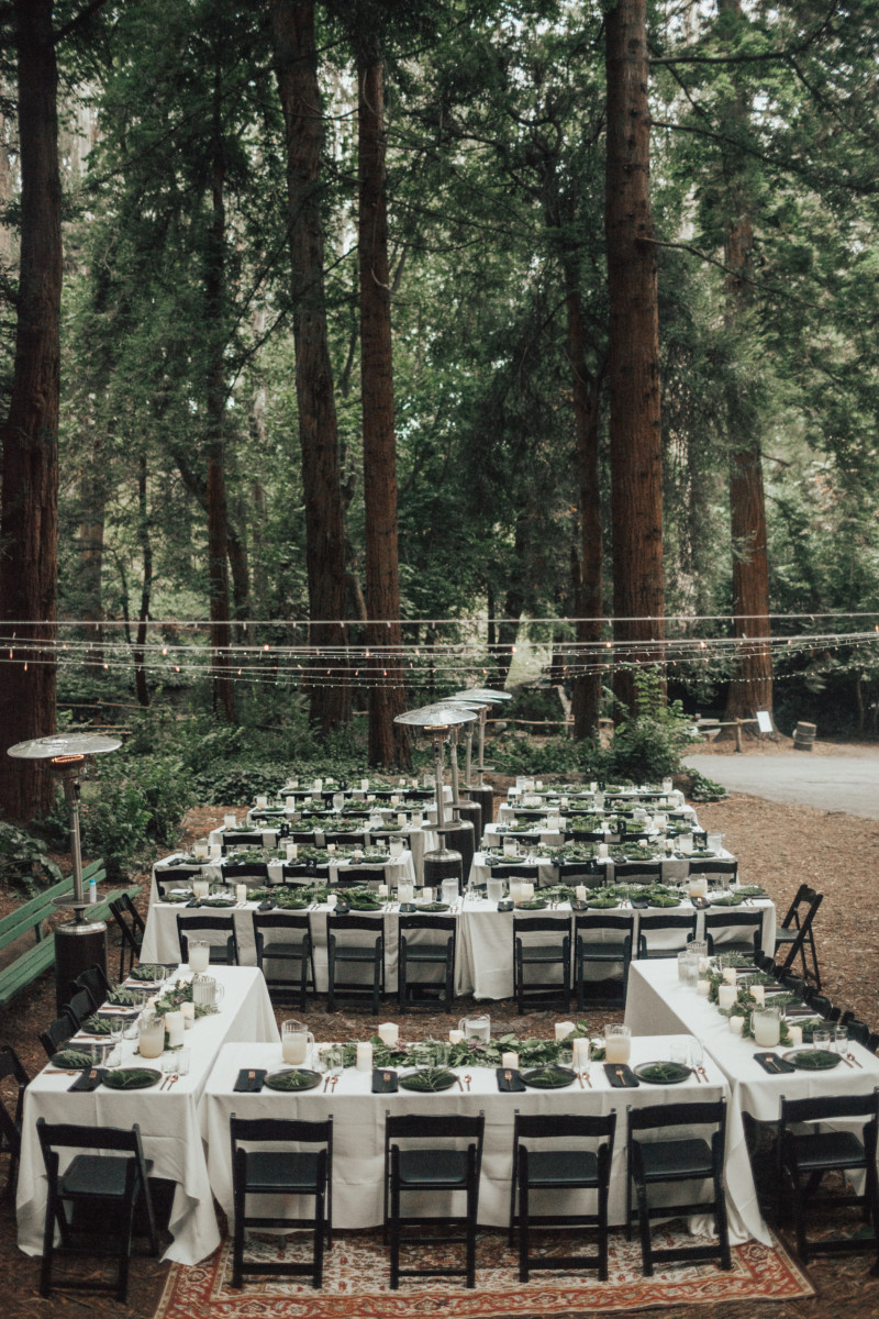 img-1 San Francisco California Forest Wedding