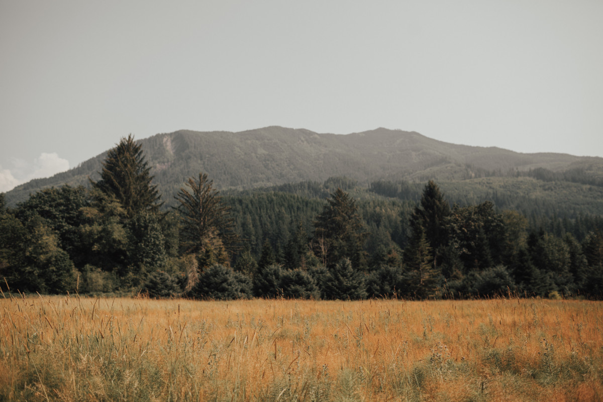 washington-wedding-photographer-3 Washington Mountain Wedding